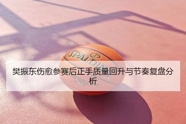 樊振东伤愈参赛后正手质量回升与节奏复盘分析